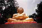 Buddah Nr. AA2160102